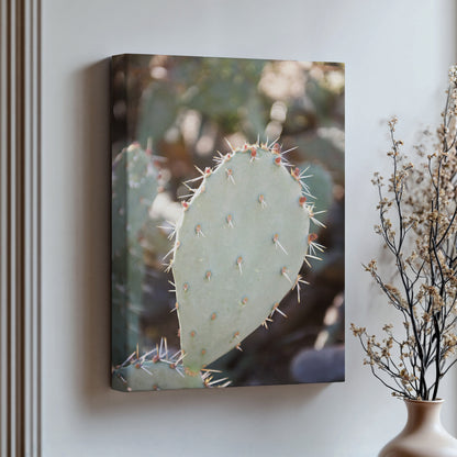 Prickly Pear Cactus 2