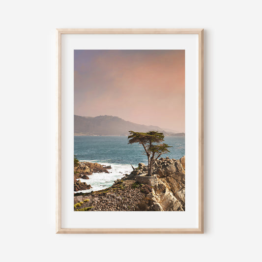 The Lone Cypress