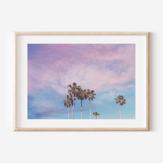 Pastel Palm Trees