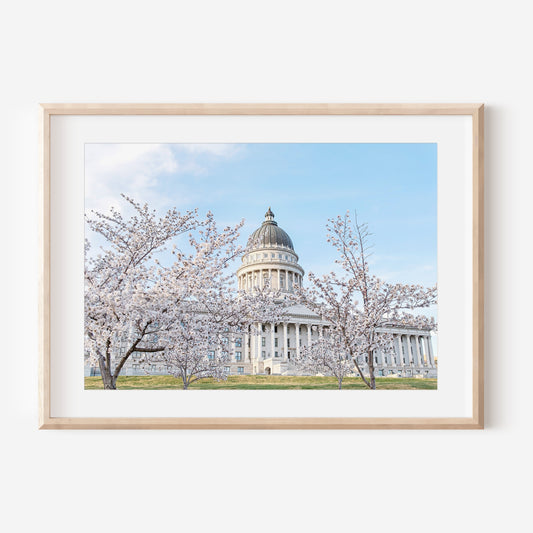 Utah State Capitol Spring 1