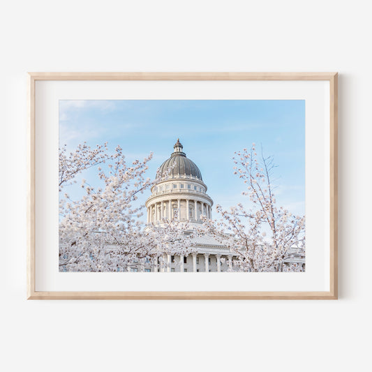 Utah State Capitol Spring 2