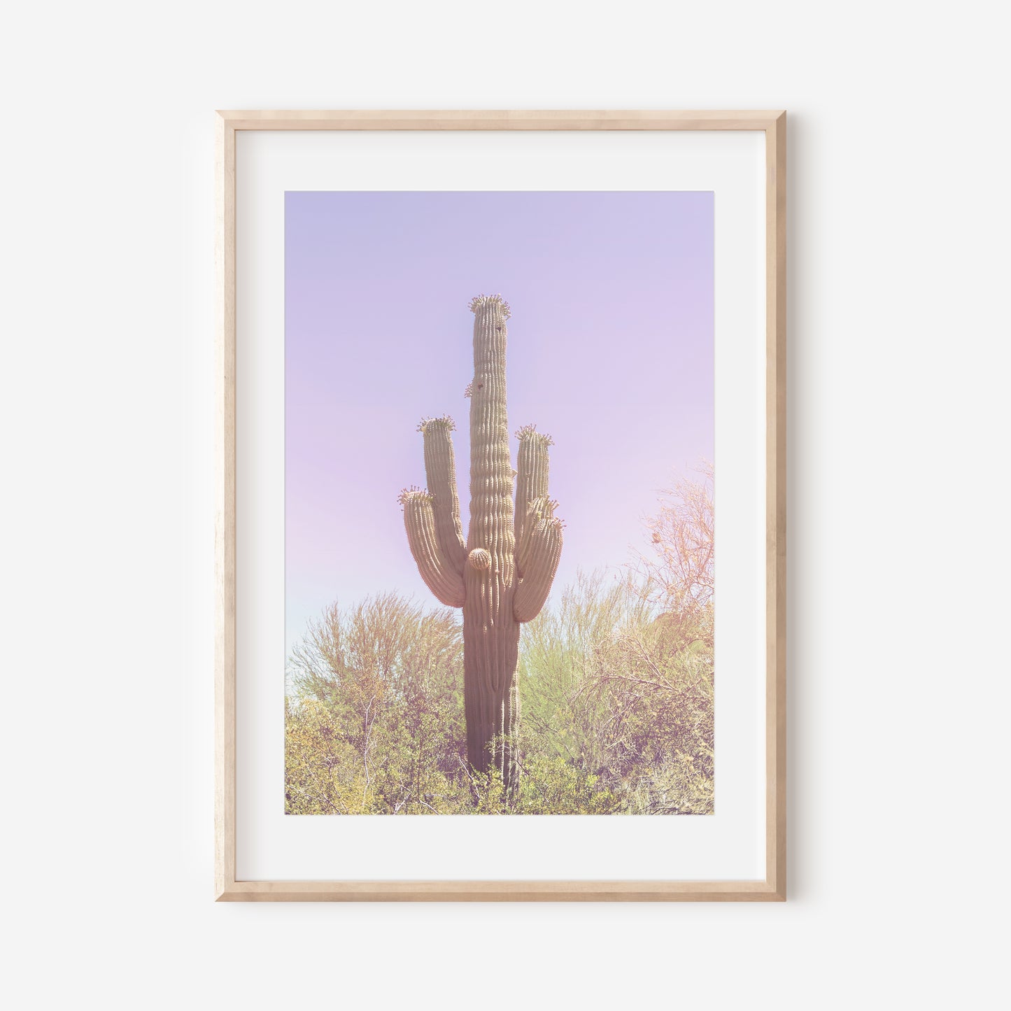 Pastel Saguaro