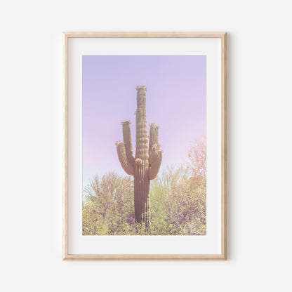 Pastel Saguaro