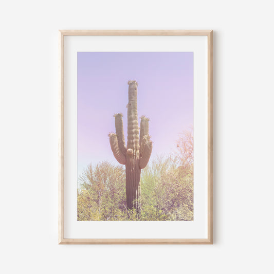 Pastel Saguaro