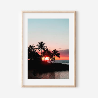 Oahu Palm Trees Sunset