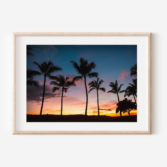 Oahu Palm Tree Sunset