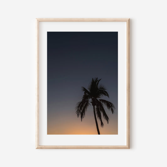 Sunset Palm Tree