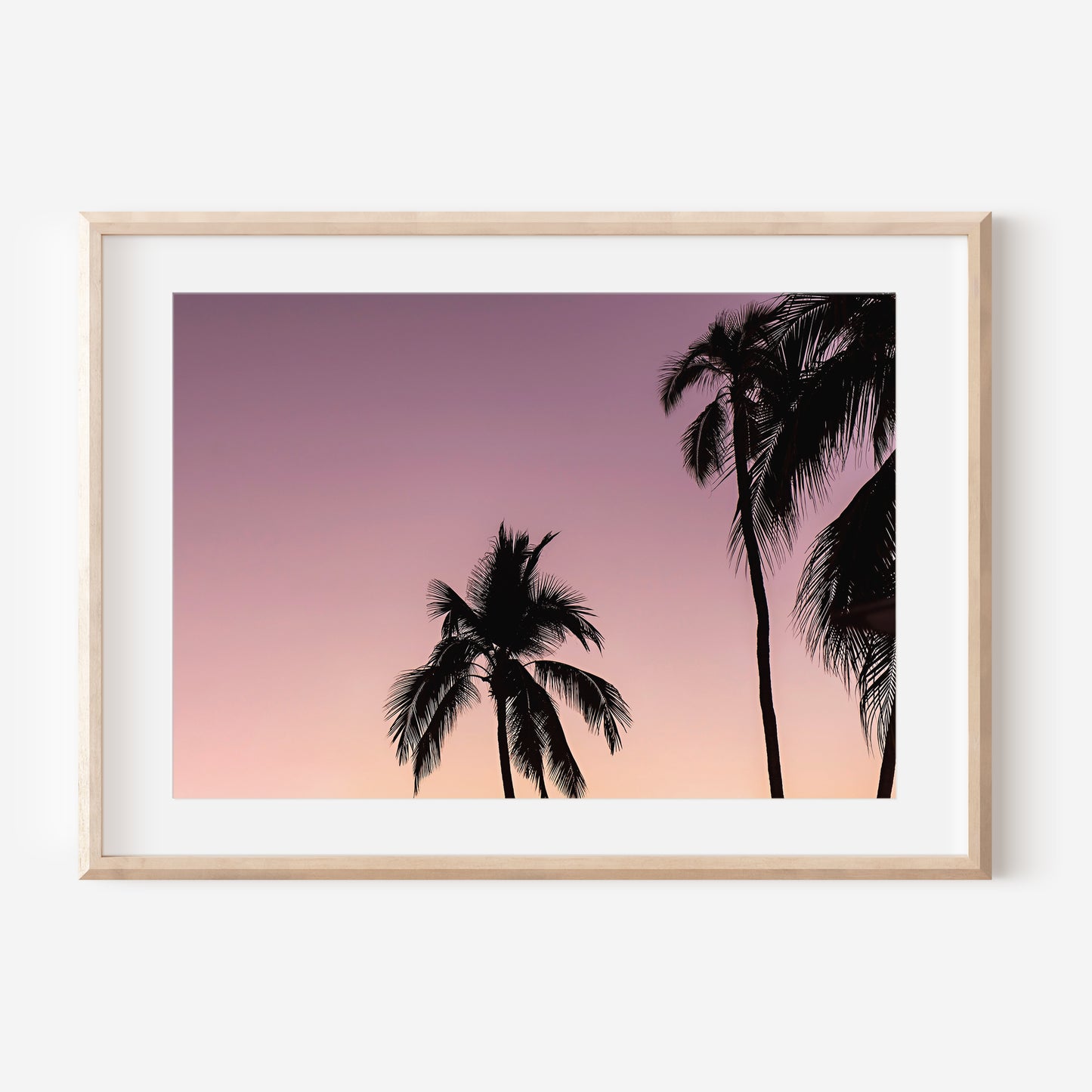 Pink Sunset Palm Trees