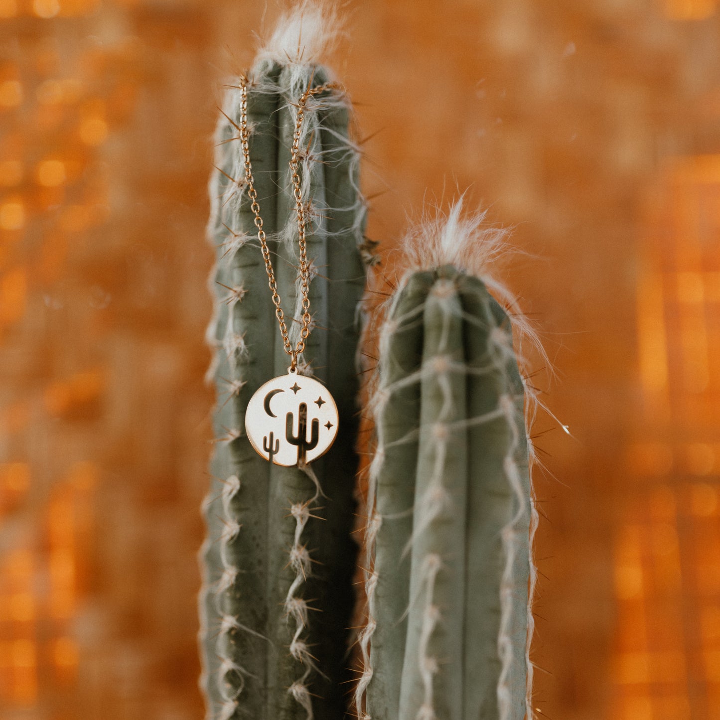 Desert Necklace